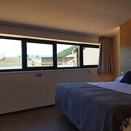 Centre Olot