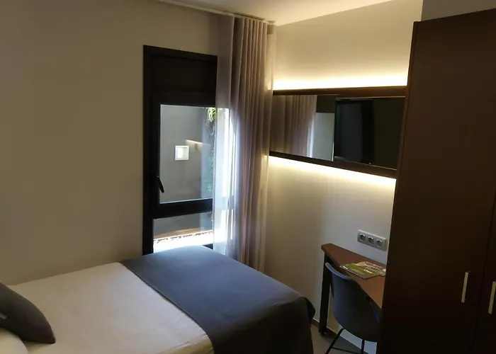 Centre Olot
